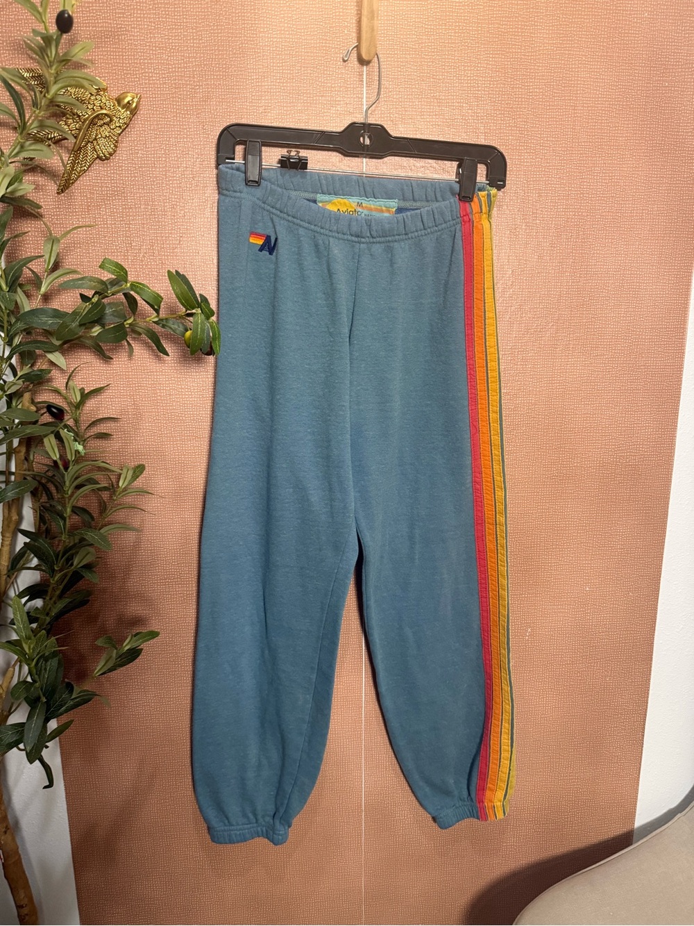 Aviator Nation Teal Joggers with Rainbow Side Stripes